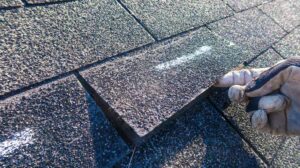 Someone inspecting an asphalt shingle roof